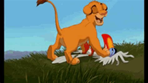 Lion King Funny GIF - LionKing Funny Zazu - Discover & Share GIFs