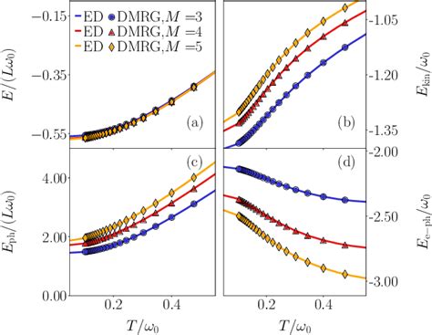 Figure From Finite Temperature Density Matrix Renormalization Group