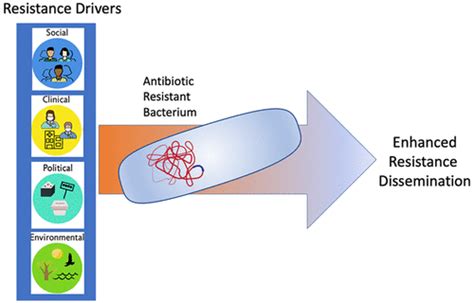 Differential Drivers Of Antimicrobial Resistance Across The World