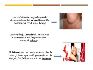 GENERALIDADES COMPONENTES NUTRICIONALES Pdf