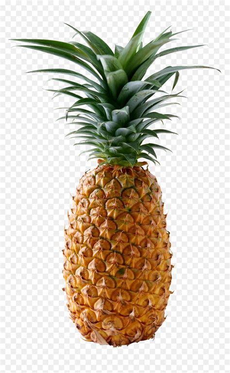 Pineapple Png Hd Transparent Png Vhv