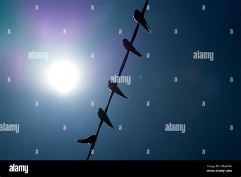 Scorching Hot Sun Hi Res Stock Photography And Images Alamy