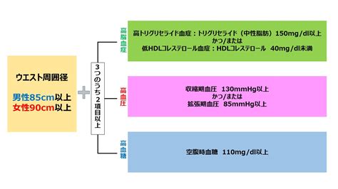 富士吉田市 第8弾 メタボリックシンドロームについて