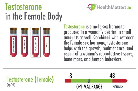 What Is Testosterone Serum Female Lab Results