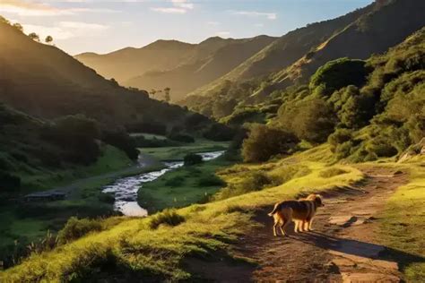 10 Best Malibu Hiking Trails