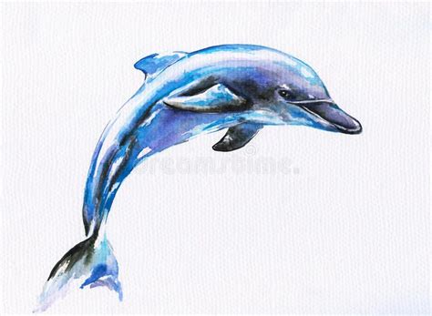 Blue dolphin royalty free illustration | Dolphins tattoo, Dolphins ...