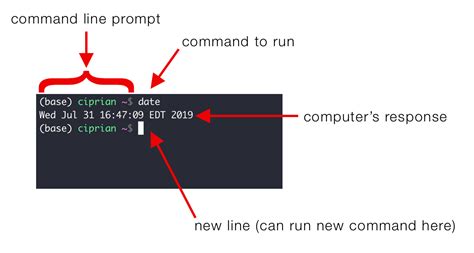 Intro To Programming How To Use The Command Line Part 1 Edlitera