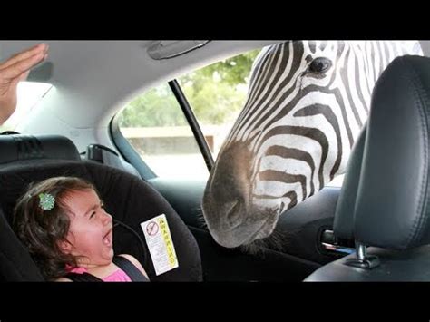 Forget CATS and DOGS! Hilarious KIDS vs ZOO ANIMALS are SO FUNNIER ...