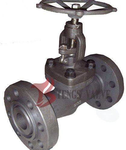 Plug Disc Dn50 Industrial Globe Valve Flanged RTJ End Carbon Steel