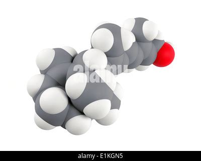 Vitamin B Molecule Computer Model Showing The Structure Of A Molecule