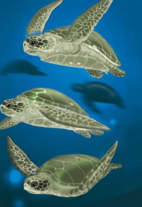 Turtle Story Conservation Stories For Kids Bedtime Stories