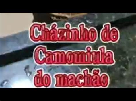 Machão ensina a fazer chá de camomila para sua madre mía quando ela