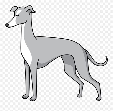 Greyhound Clipart Png Download 5564343 Pinclipart