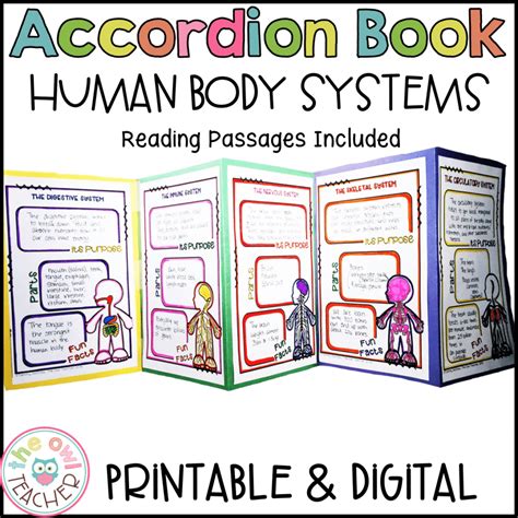 Human Body Systems Activity Foldable Booklet Printable Digital