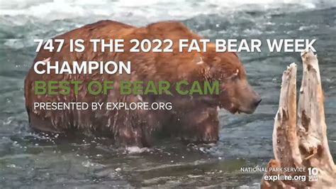 747 is the Fat Bear Week 2022 Champion