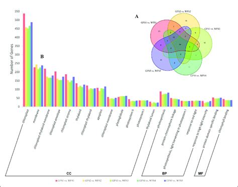 Gene Ontology Go Enrichment Analysis Of Annotated Degs Between The Gf