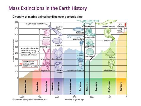 Ppt Mass Extinction Powerpoint Presentation Id