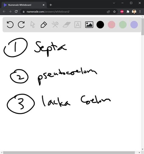 SOLVED: Construct a phylogenetic tree using these phyla, and include ...