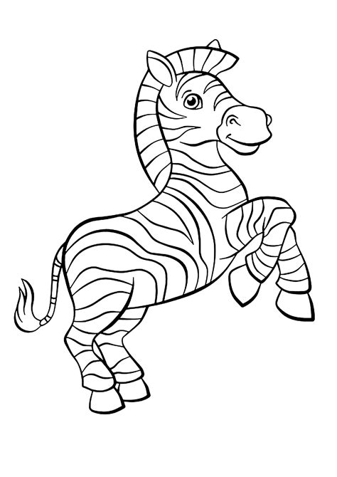 Una Bella Zebra Da Colorare Disegni De Zebre Facili Da Colorare Per