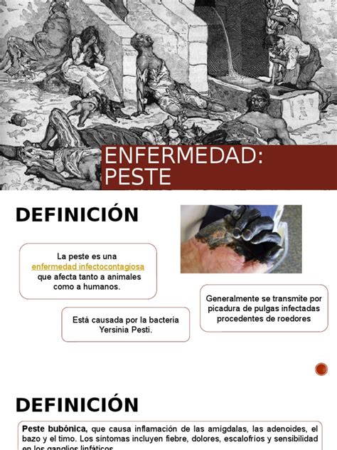 Enfermedad Peste Pdf Peste Enfermedad Ciencias De La Salud