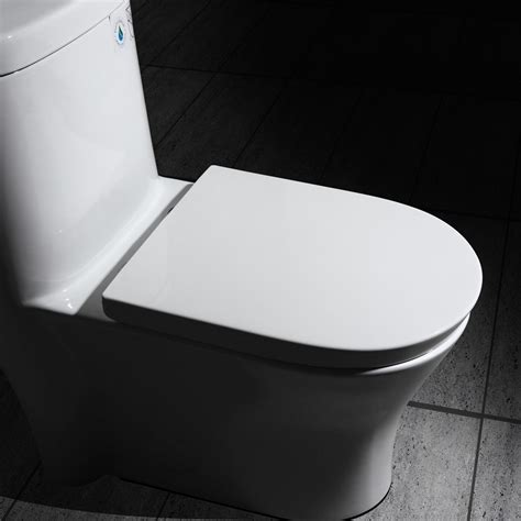 Luxury Modern Dual Flush One Piece Elongated Siphonic Toilet With Slow