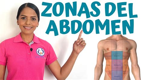 Zonas Cuadrantes O Regiones Del Abdomen Youtube