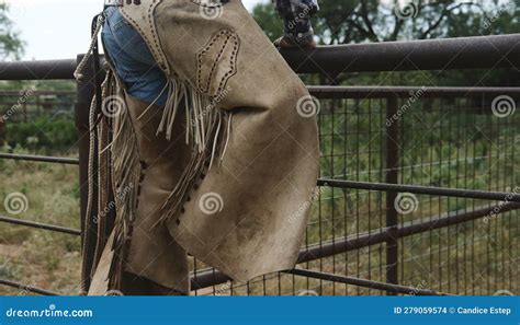 Cowboy Chaps With Fringe On Leather Climbing Fence Stock Photo