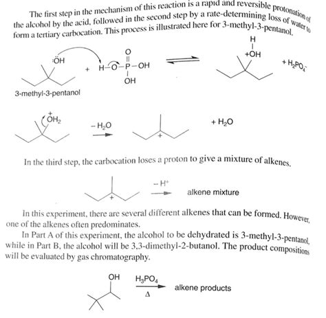 Solved Prelab Assignment That Could Be Formed During 1 Chegg