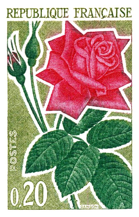 1962 France Modern Rose Postage Stamp Digital Art By Retro Graphics