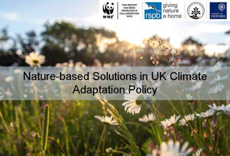 Nature Based Solutions Initiative NbSI WWF RSPB Report On Nature