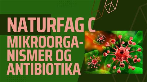 Mikroorganismer Virus Bakterier Og Antibiotika Youtube