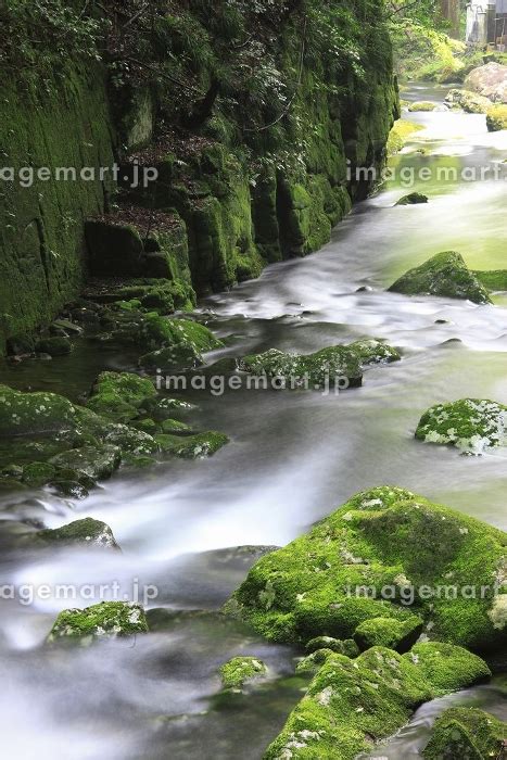 赤目四十八滝渓谷の写真素材 [24151927] イメージマート