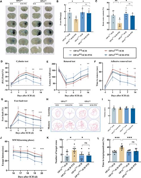 Frontiers Pterostilbene Attenuates Microglial Inflammation And Brain