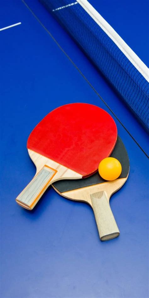 Tenis Meja Pengertian Sejarah Teknik Pukulan Cara Bermain