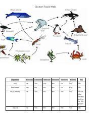 Copy of OceanFoodWebPracticeWorksheet-1.pdf - Ocean Food | Course Hero