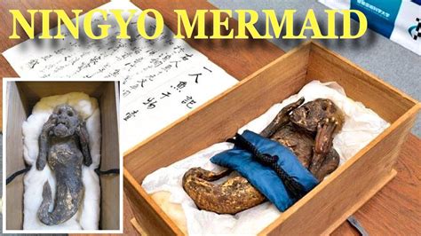 300 Y O Mummified Japanese Mermaid Mystery To Be Unravel By