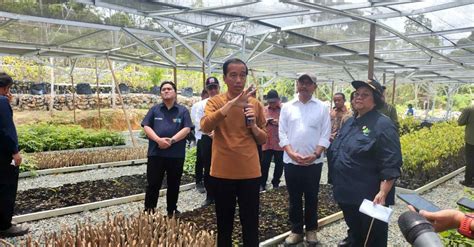 Jokowi Persemaian Mentawir Ikn Produksi Juta Bibit Per Tahun