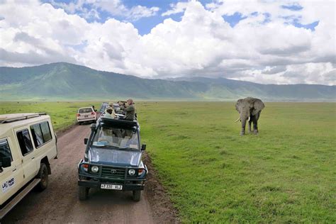 Ngorongoro crater park fees | Entrance fees to Ngorongoro Crater