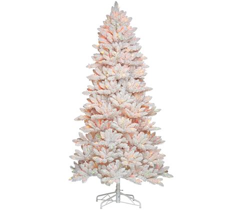 Bethlehem Lights 6.5' Hudson Flocked Christmas Tree - Page 1 — QVC.com