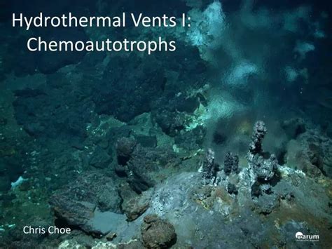 PPT - Hydrothermal Vents I: Chemoautotrophs PowerPoint Presentation - ID:1539616