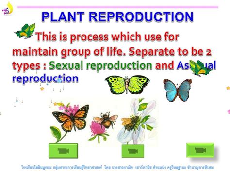 Ppt Plant Reproduction Powerpoint Presentation Free Download Id2085925