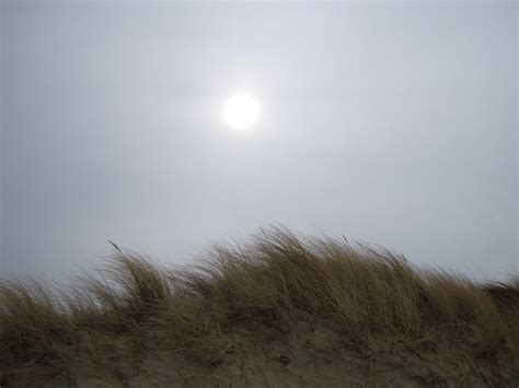 Free Images Sea Coast Nature Sand Horizon Cloud Sky Sun Fog