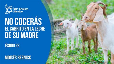 Moisés Reznick 025 ÉXODO 23 No cocerás el cabrito en la leche de su