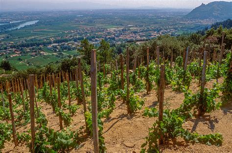 Rhône Valley Wine Tour with Matt Walls - Decanter