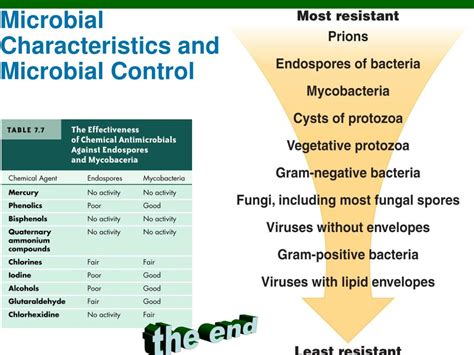 Microbial Characteristics