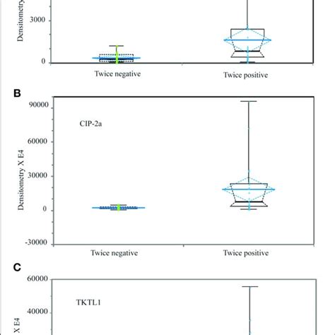 The Different Expression Of Putative Biomarker Proteins B MYB