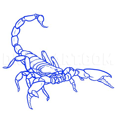 How To Draw Scorpions, Step by Step, Drawing Guide, by MichaelY | Scorpion tattoo, Tattoo ...