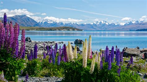 Lake Tekapo