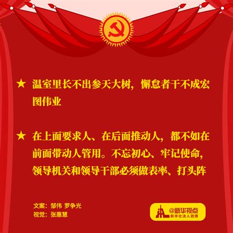 习近平在“不忘初心、牢记使命”主题教育总结大会上讲话金句，一起来学习央广网