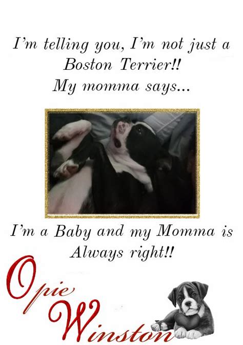 My Baby Opie Winston By Batmansharley On Deviantart